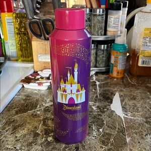 Starbucks Pink and Purple Disneyland Tumbler